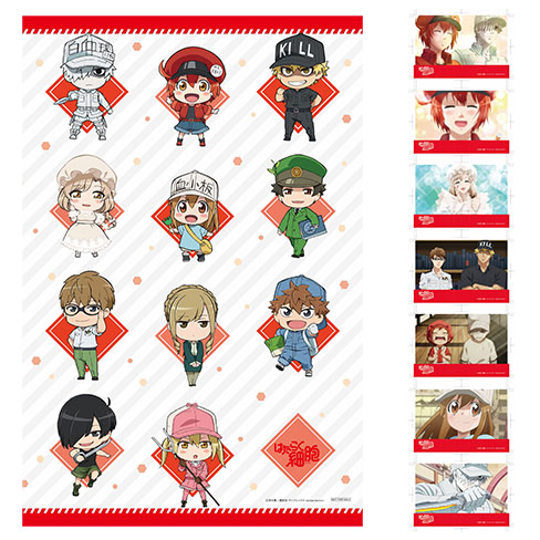 ビッグタオル&場面写真ポストカード7枚